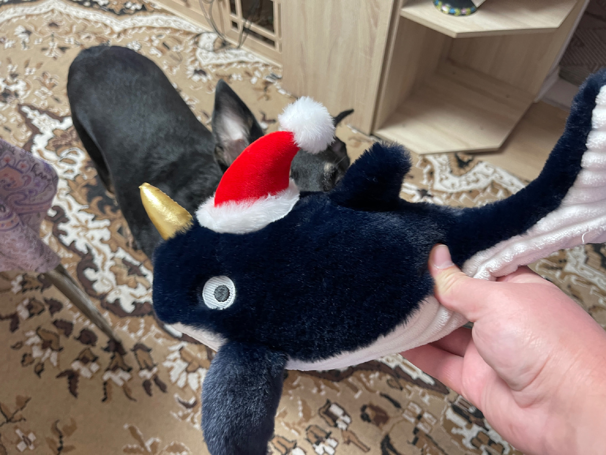 Вот такую большую игрушку мне подарили на День Рождения! 😍