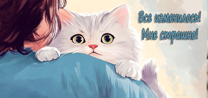 Ревность кошки