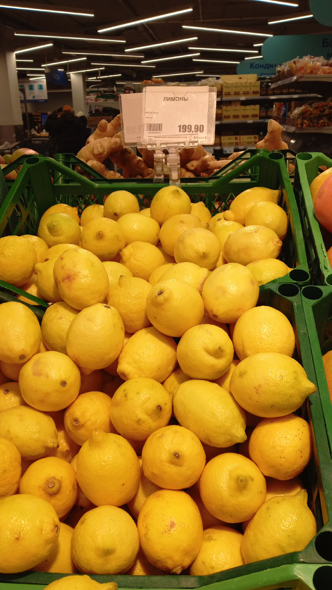 Лимоны 🍋. Фото автора.