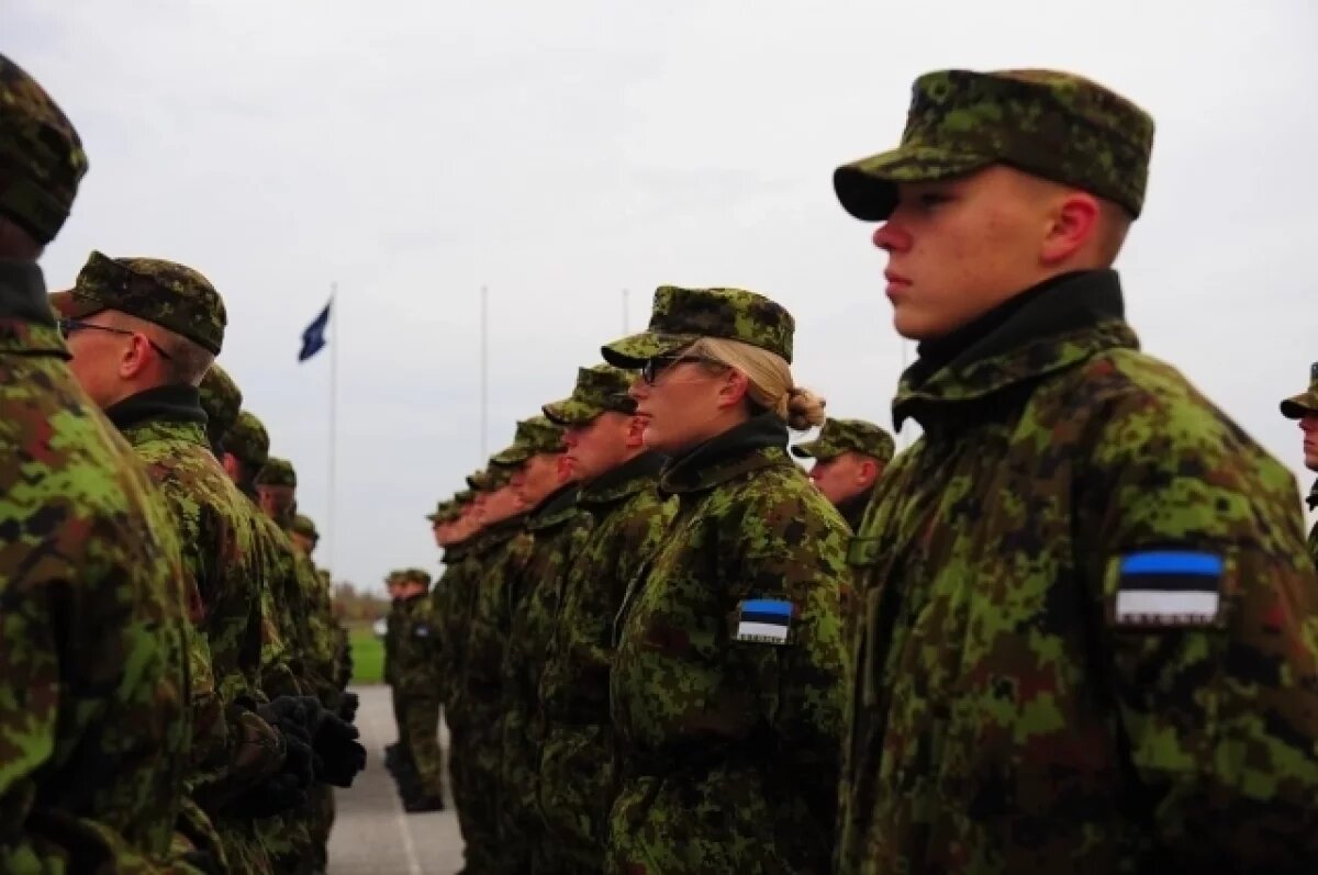    Эстонская разведка: угроза нападения России на НАТО отсутствует