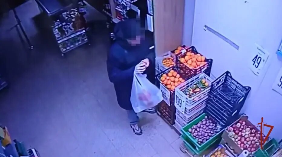    Фото: скриншот из видео пресс-службы ГУ Росгвардии по Подмосковью.