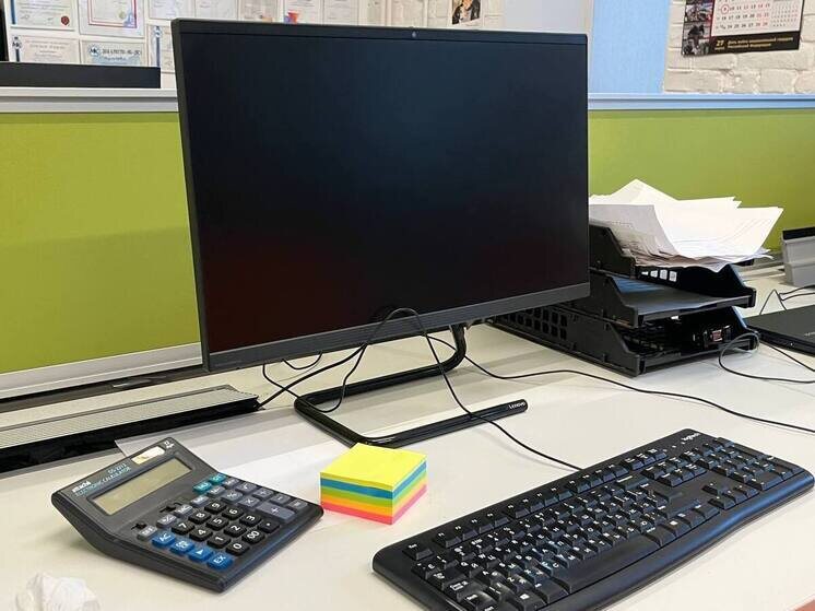     В систему городского управления Петербурга с 2022 года внедрили более 140 роботов-помощников. Фото: архив МК в Питере