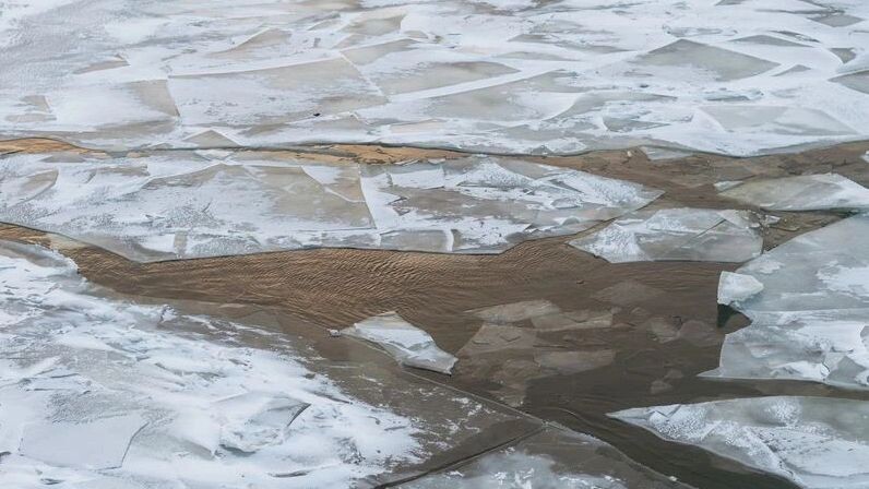    Фото: Dorozhkina Anna/Shutterstock/Fotodom