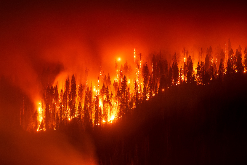   Фото: Noah Berger / AP / TASS

📷  Фото: Ethan Swope / AP / TASS
