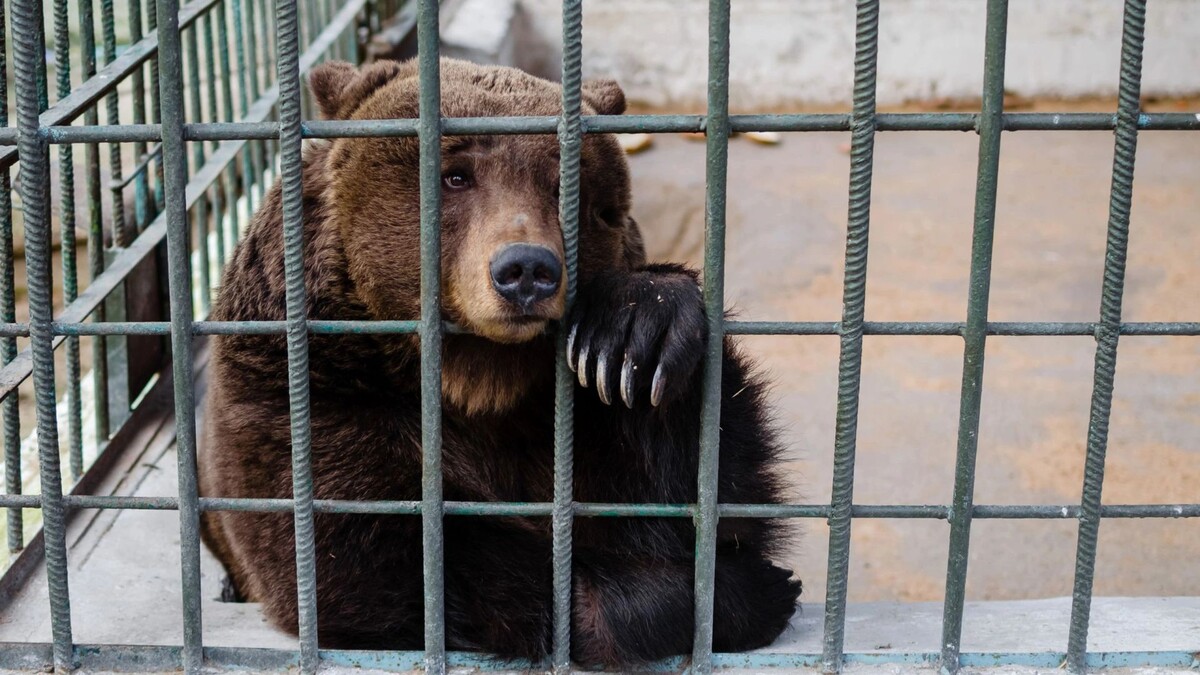    Фото: Photostokerai/Shutterstock/Fotodom