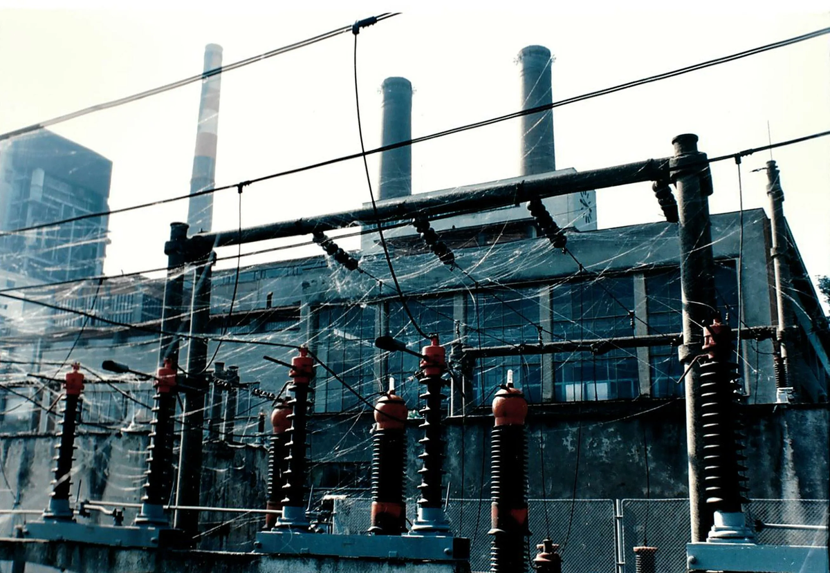 Это не паутина, это углеродные нити