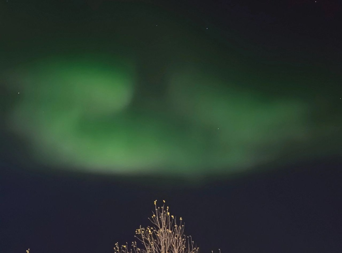    фото: © Ева Экова/Столица на Онего