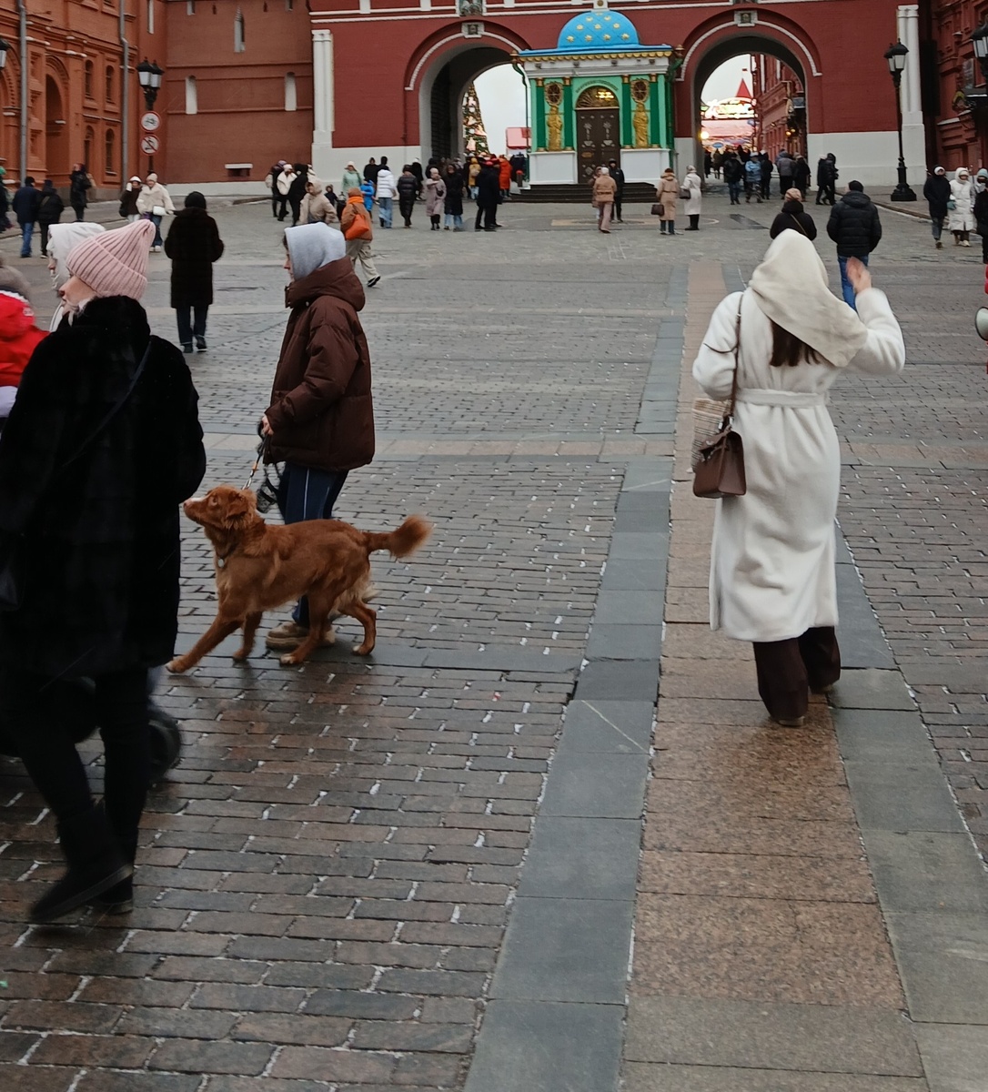 Фото автора