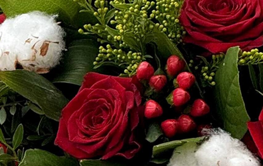 🎄 Новогодние традиции с цветами в разных странах