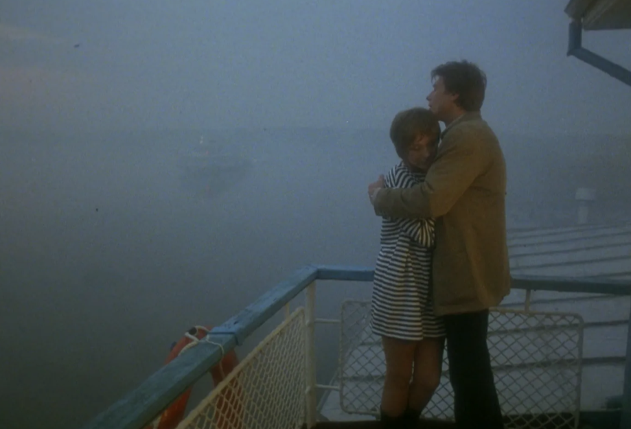 В свободном доступе в сети 