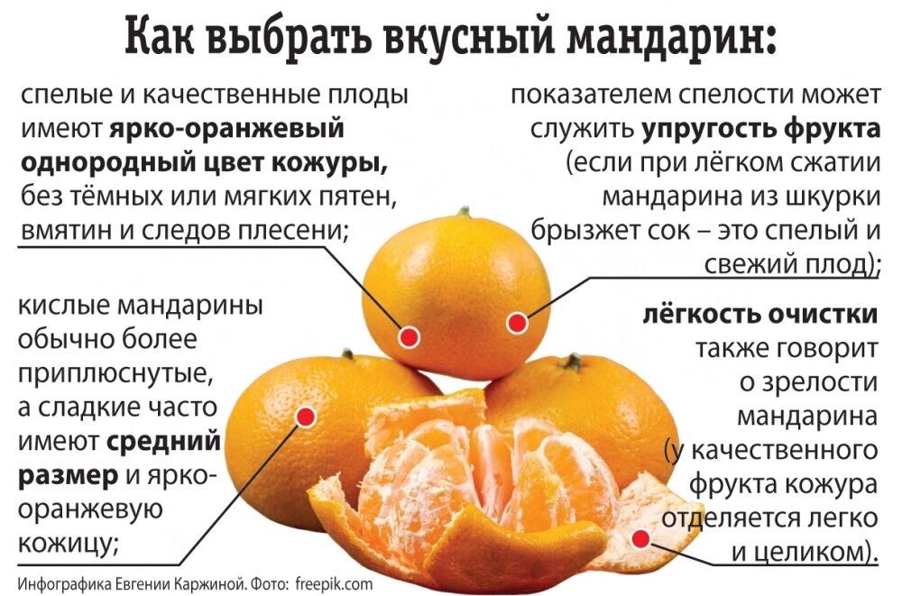    Фото: АиФ/ Евгения Каржина