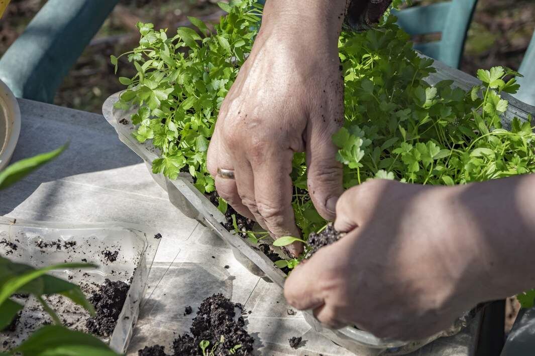 Фото: ИЗВЕСТИЯ/Константин Кокошкин