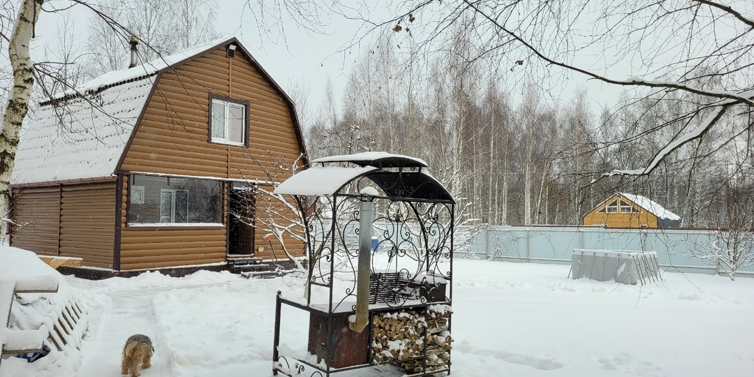 День одиночества на даче, моё отношение к ИИ