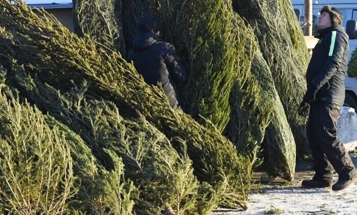    © РИА Новости. Илья Наймушин