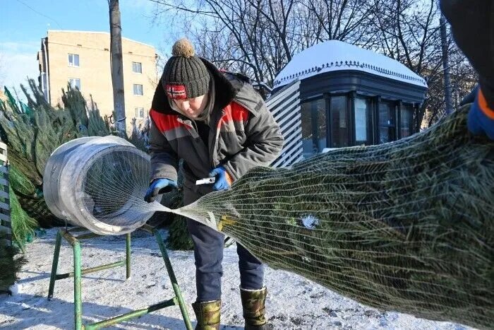    © РИА Новости. Илья Питалев