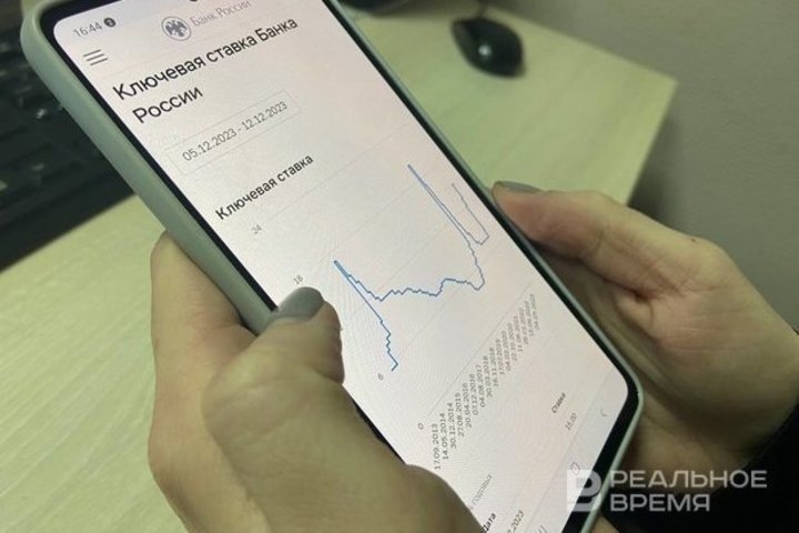   Дарья Пинегина / realnoevremya.ru