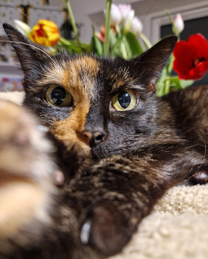 © Alternativedad_85