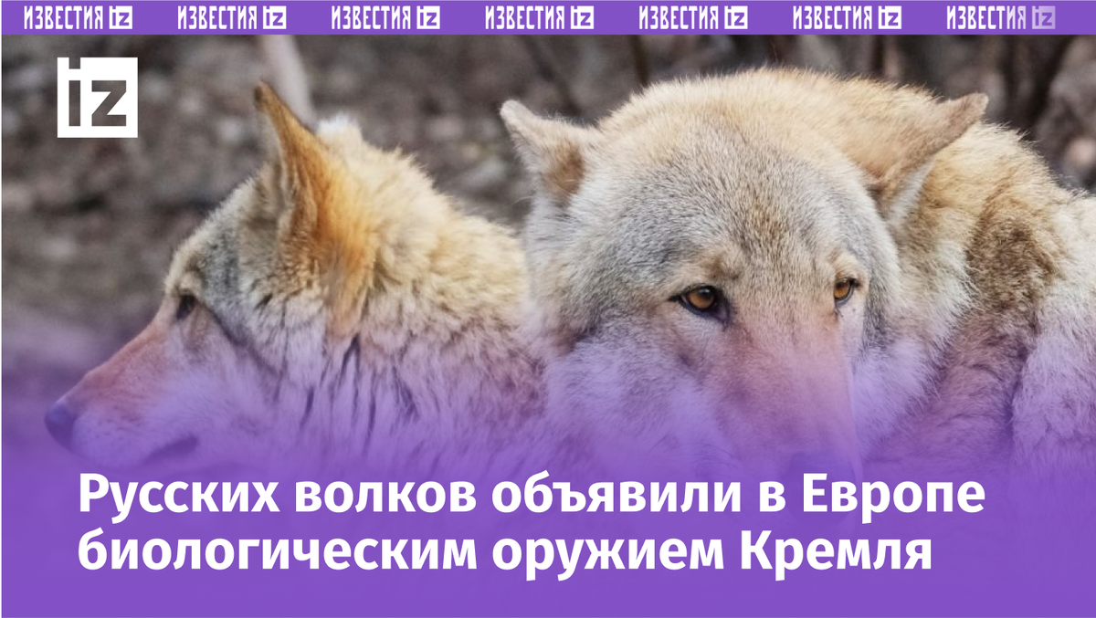 Фото с сайта RG.ru