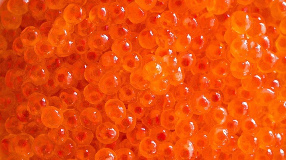    Красная икра. Источник: unsplash.com