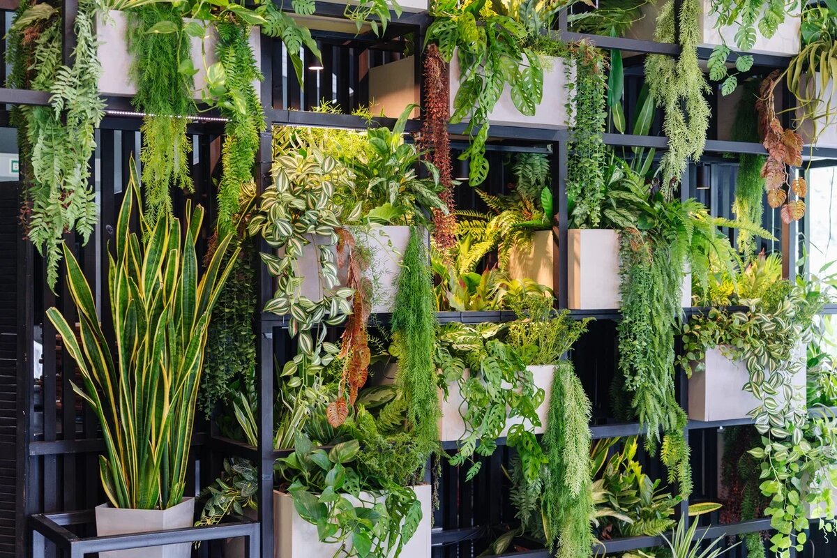 Озеленение ресторана от Me Decor