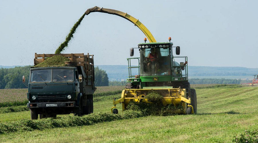    Фото: телеграм-канал Владислава Шапши.