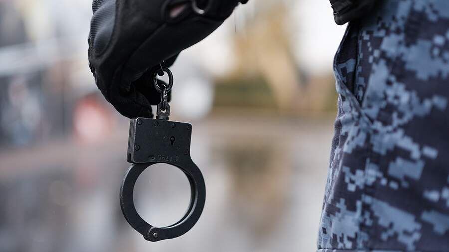    Фото: ИЗВЕСТИЯ/Сергей Виноградов