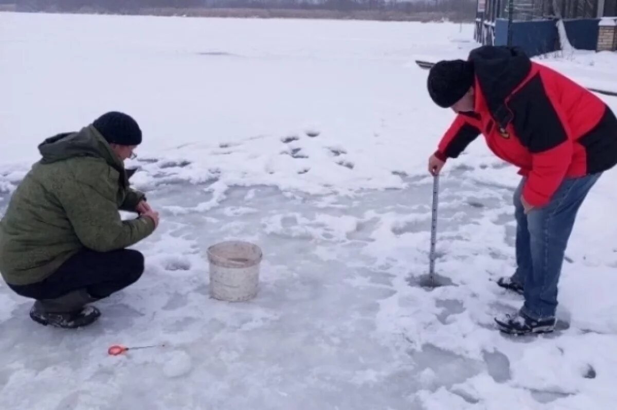    17 см составила толщина льда у берега на Старой Суре в Пензе