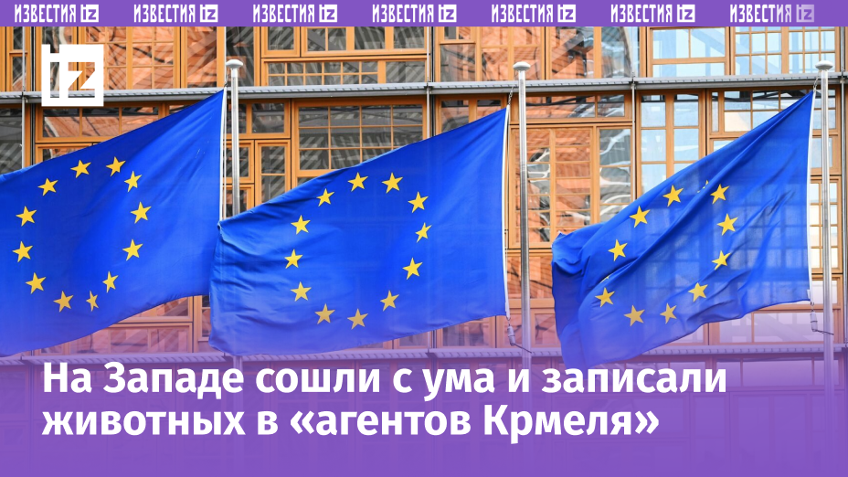 Фото: © РИА Новости / Алексей Витвицкий