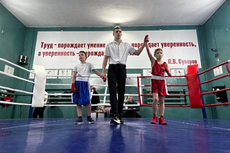    Соревнования состоялись 28 декабря в школе бокса имени Журавлева на Сталеваров, 24.