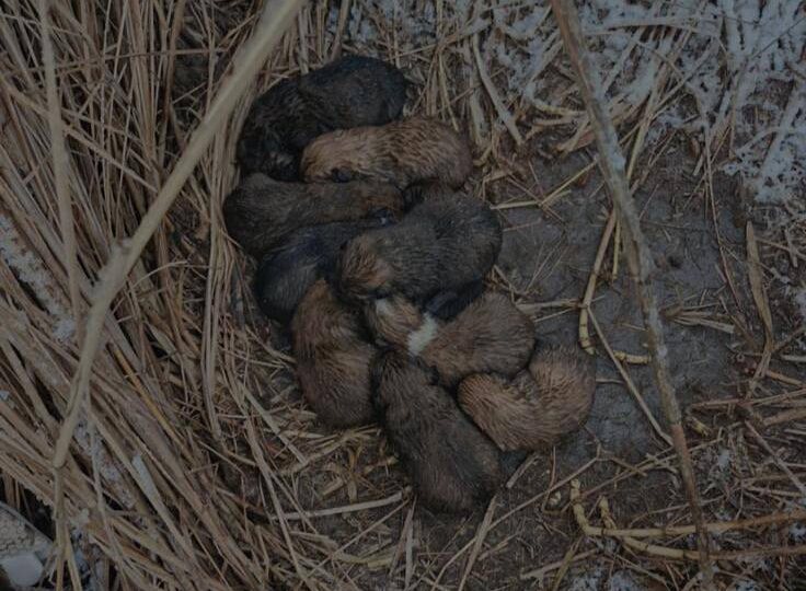 ‼️Ростов-на-Дону