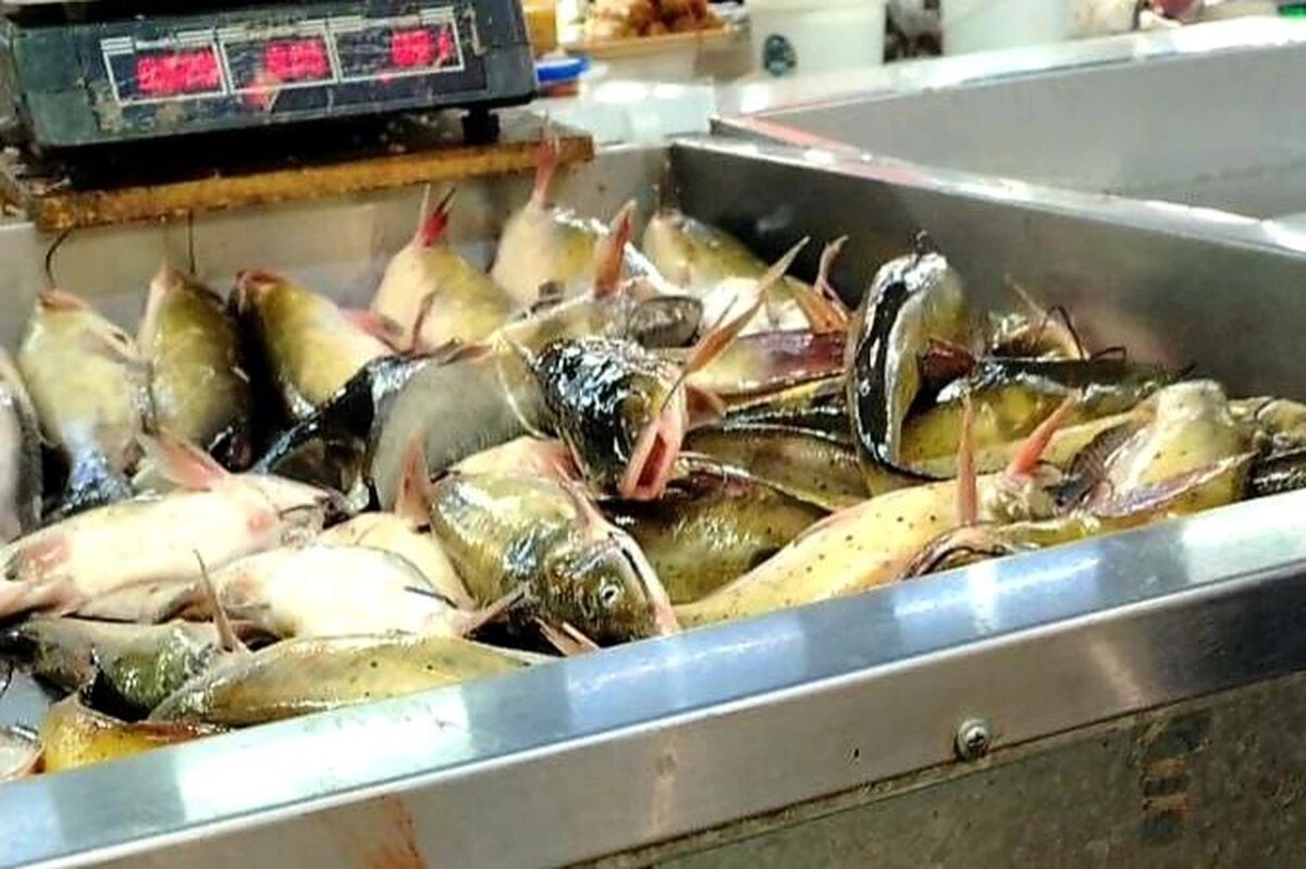 Фото Софии Бибиковой, «Кубань 24»