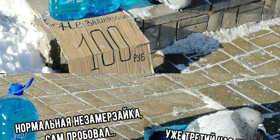 Можно не только ослепнуть, но и умереть: прежде чем заливать незамерзайку, прочитайте эту статью