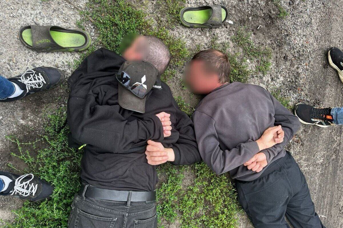 Картинка из интернета для иллюстрации