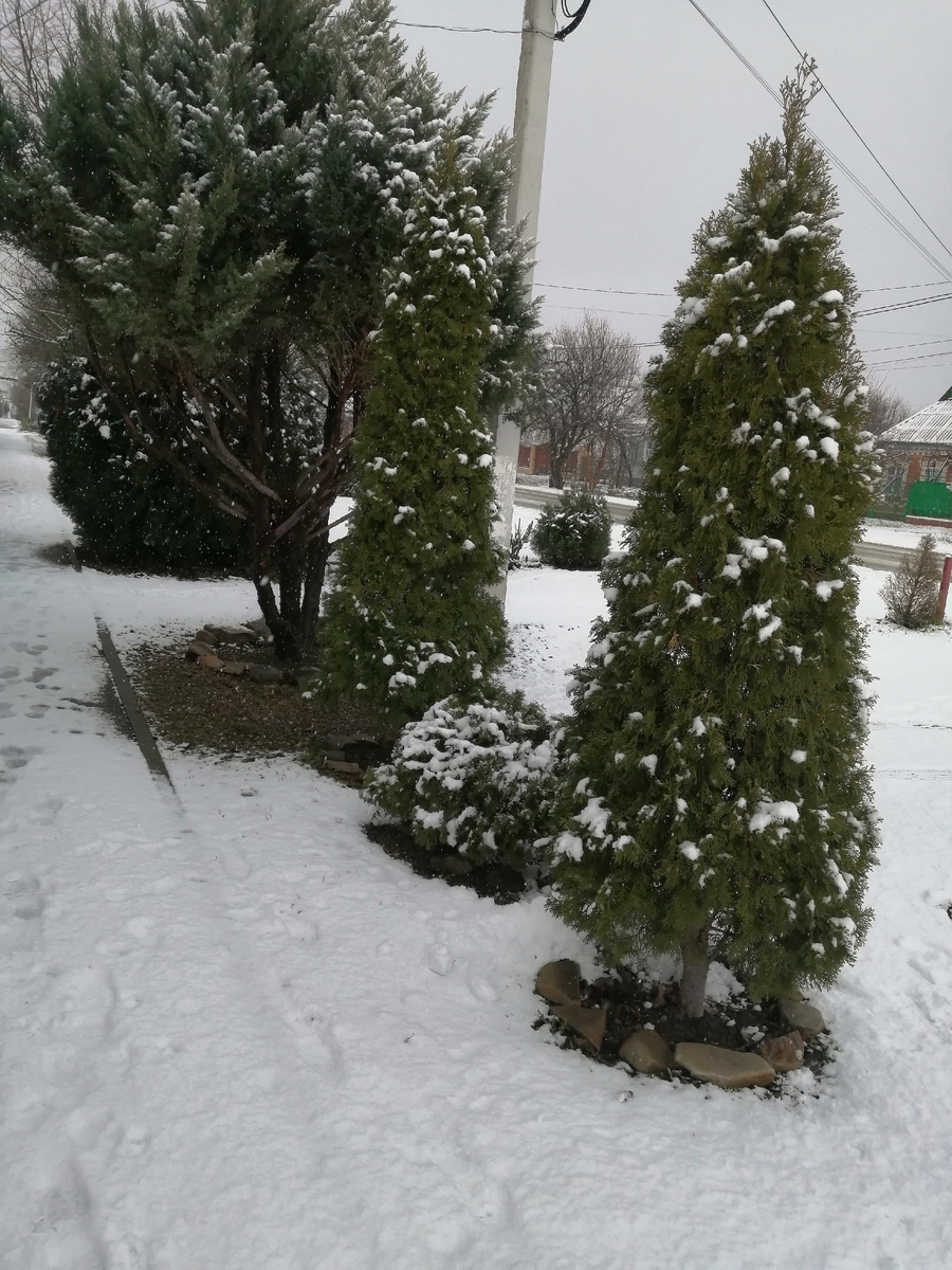 Утро в Ахтарях.