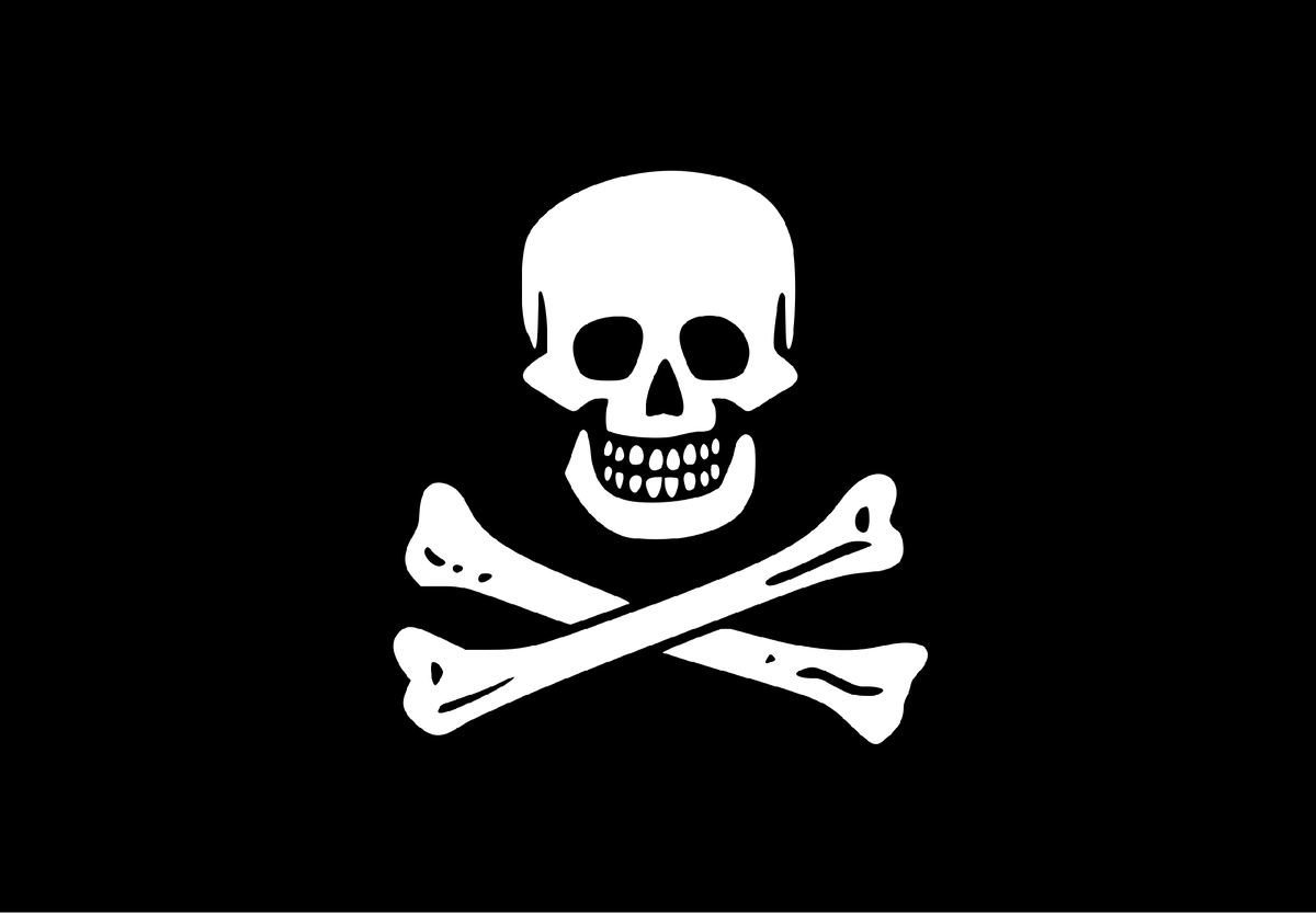 Флаг команды Чёрного Сэма.