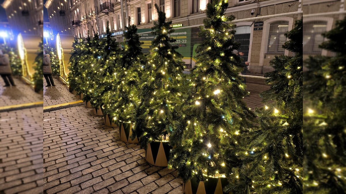 Фото: Maksim Konstantinov/globallookpress.com