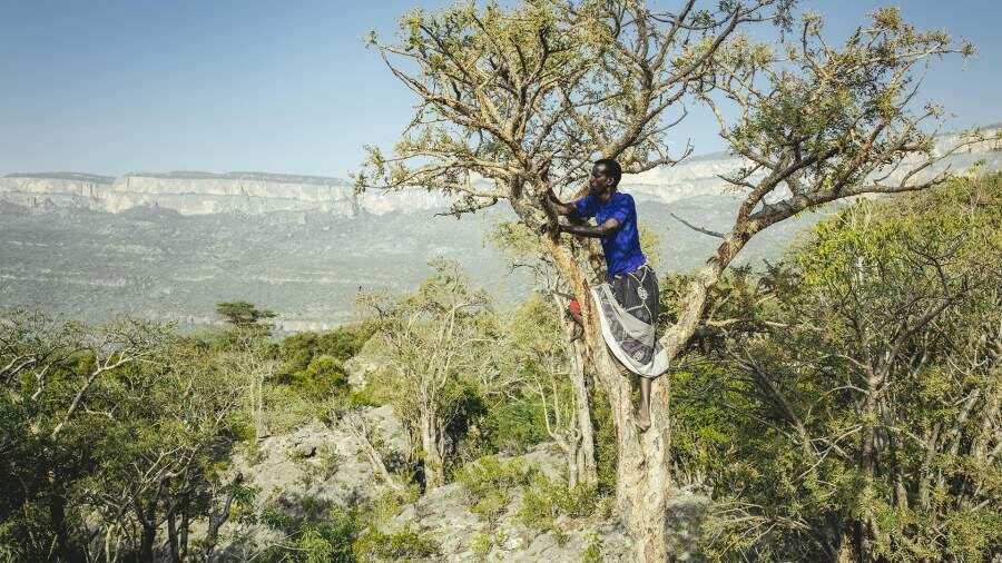    Фото: Global Look Press/Florian Bachmeier