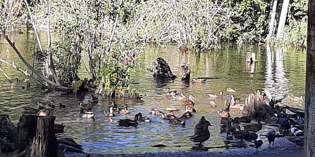 Ты знаешь кто ты?