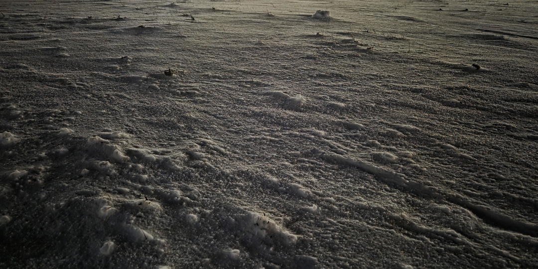 Мало кто заметил скрытый смысл в этой советской новогодней песне