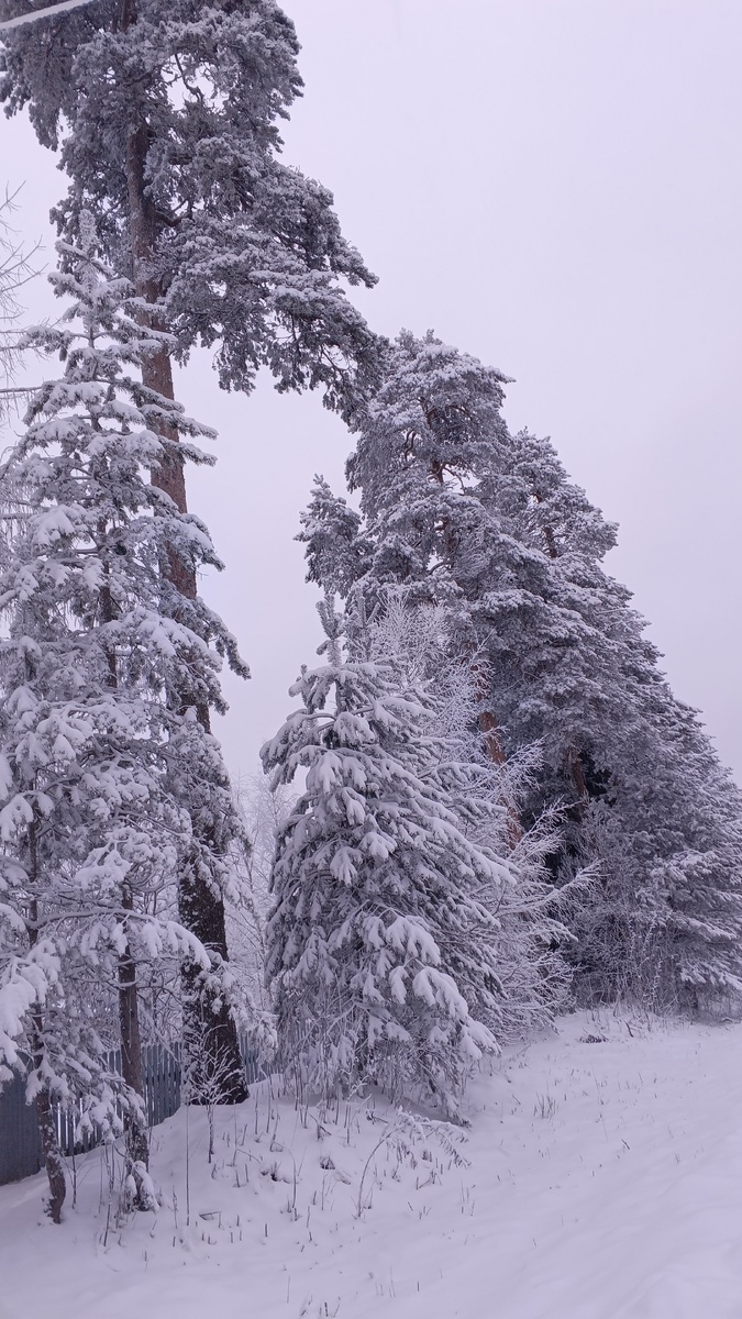 фото автора: такая погода у нас в Карелии