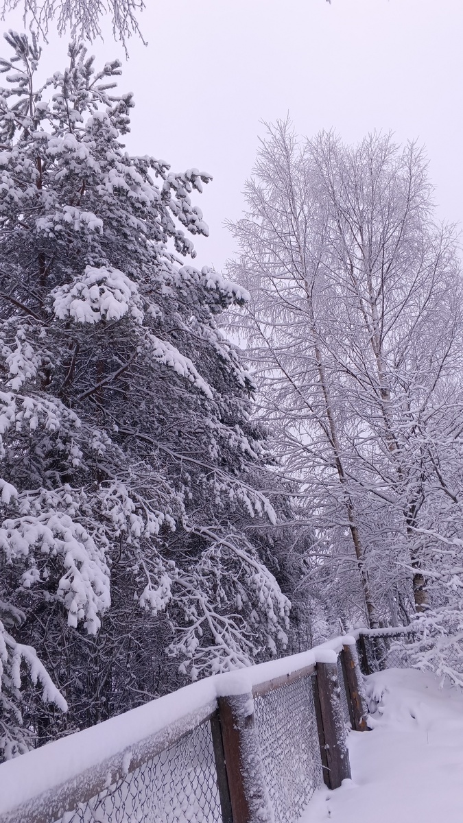 фото автора: здесь зима, снегопады