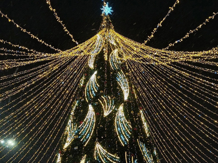     Фото: Марианна Альянова / «МК в Орле»