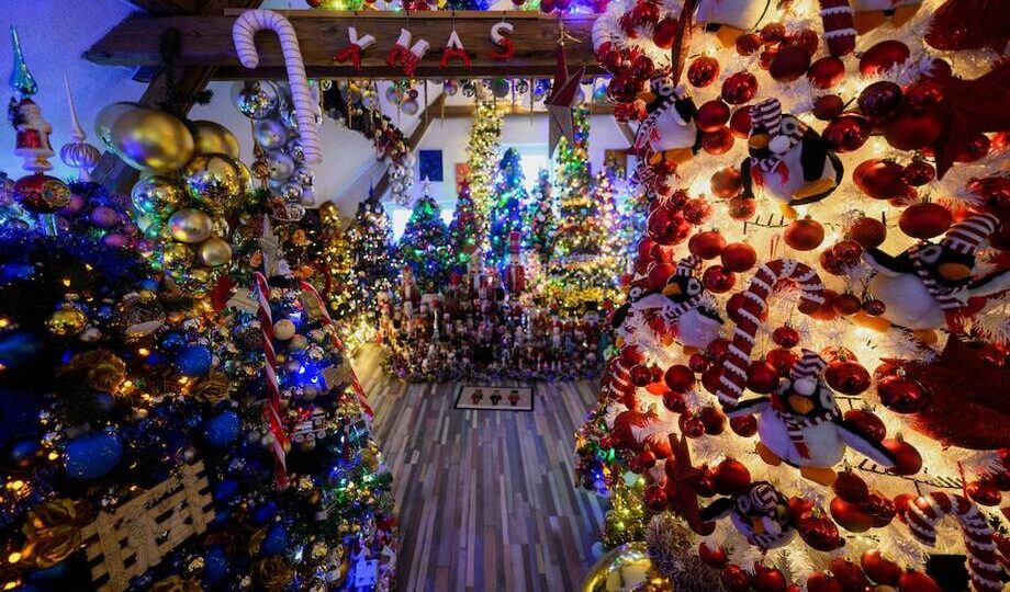 15 фото о том, как выглядит дом, в котором стоит 621 елка