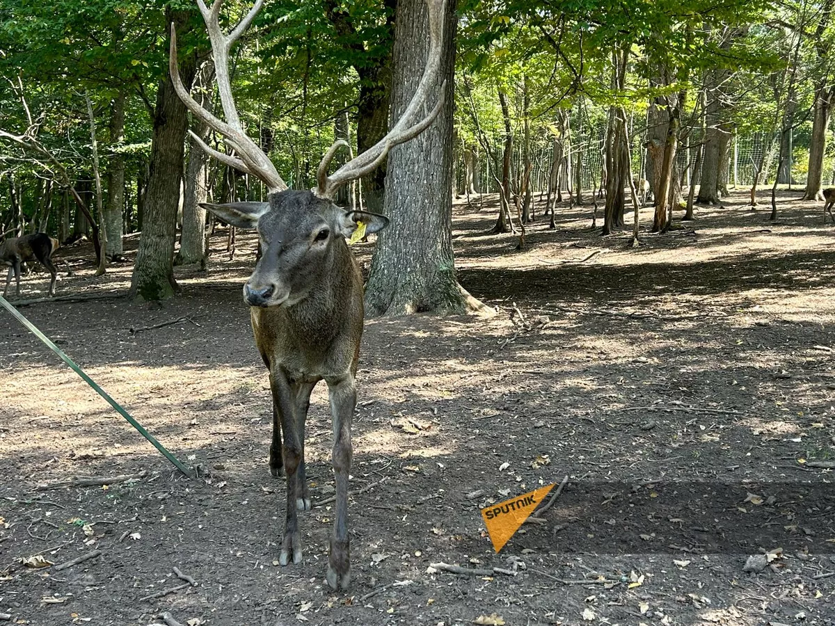 © Sputnik / Marianna Paytyan