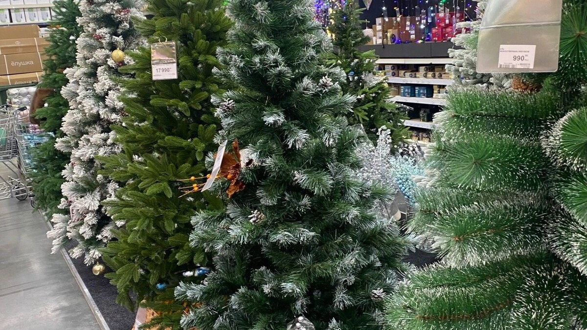    Распродажный ажиотаж в Ставрополье: новогодние товары тают быстрее снега   newstracker.ru