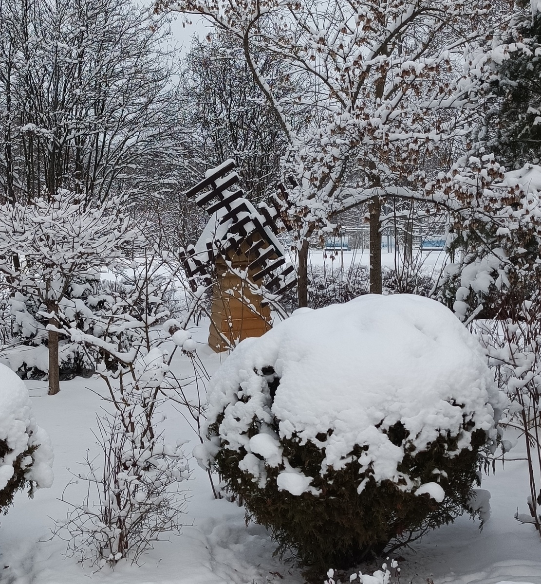 Фото автора статьи