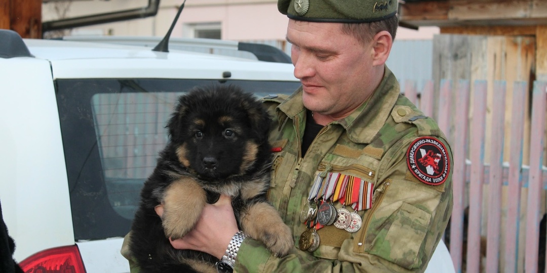 Новогодний сюрприз для бойца