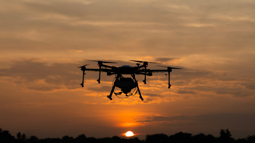    SuriPics168/Shutterstock