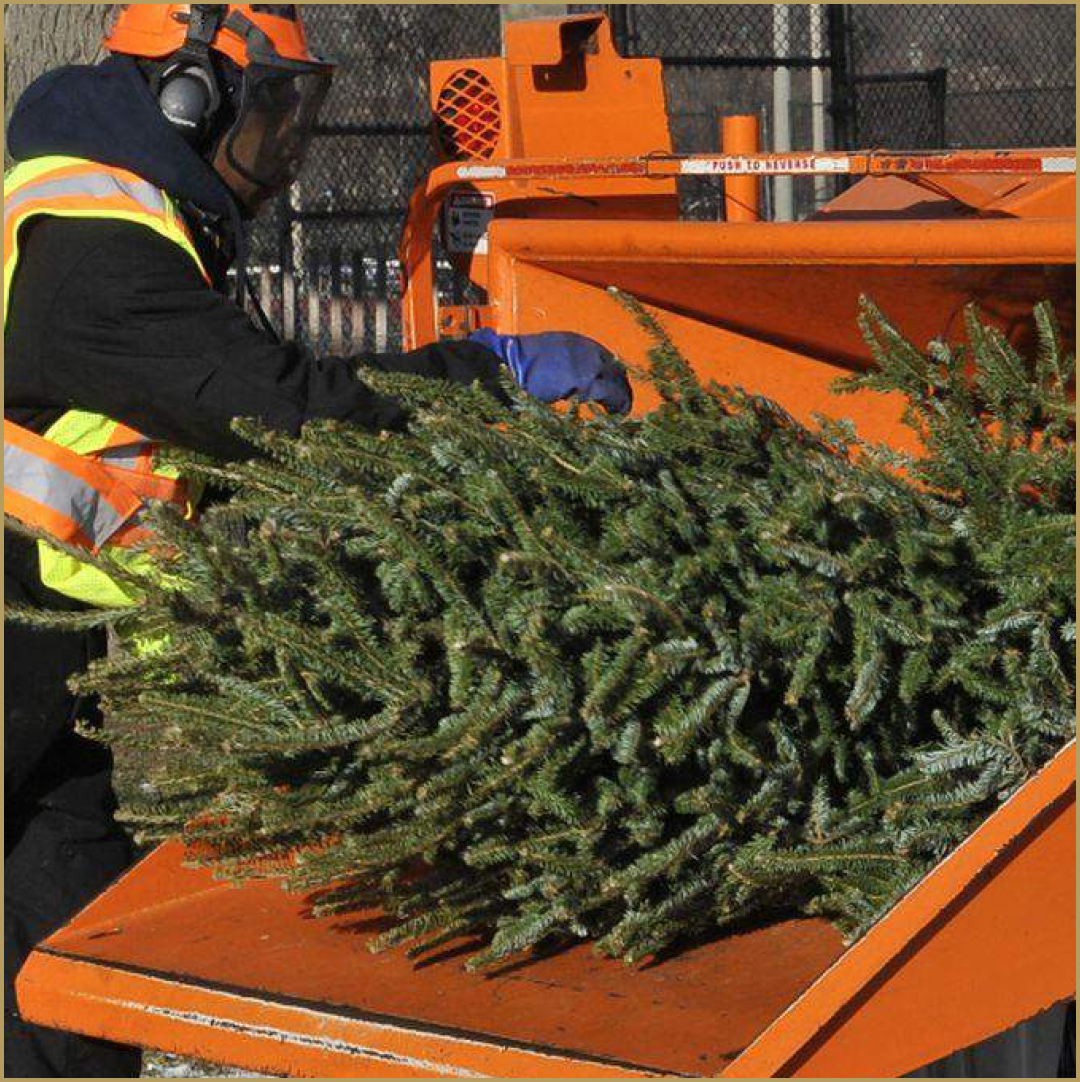 фото: orel-adm.ru