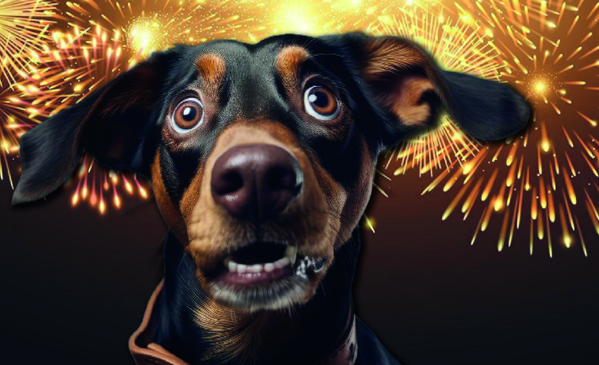 Собака боится петард и фейерверков. Изображение: Vecteezy.com, Pavel Sevryukov.